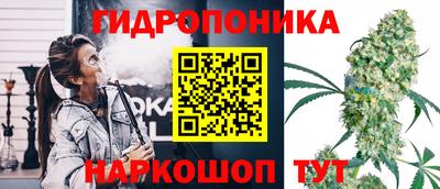 прущие крисы Дубна