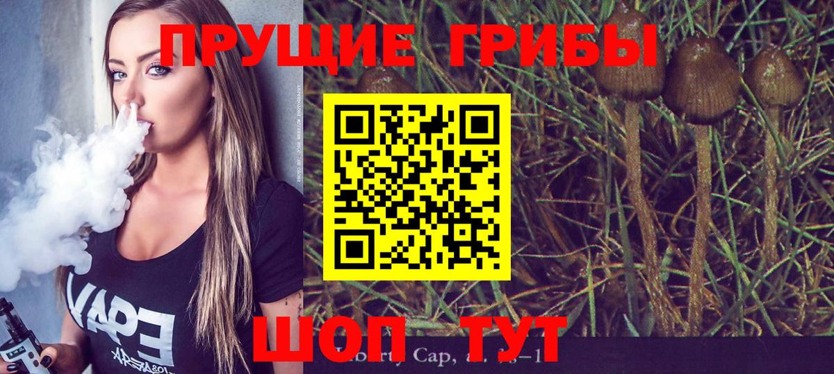 Галлюциногенные грибы мицелий Старый Оскол